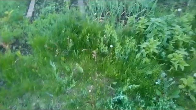 Эх, картошка смотреть онлайн