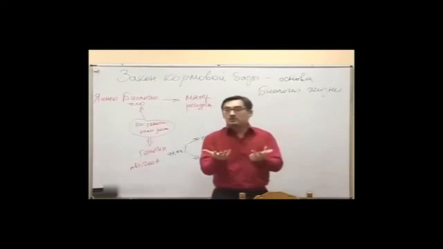 Как правильно питаться. Как научиться правильно питаться. Часть 1. смотреть онлайн