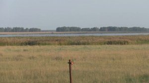 Рыбалка ЗАПРЕЩЕНА ! озеро Курема Саргатский р-н Омская обл