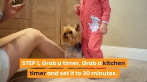 How to Train a Pomeranian to Pee Outside (Pom Potty Training)