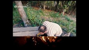 Маэстро Евгений ШУЕ Рыба Дмитерко. Сказ о том как Маэстро по стримам ходил.