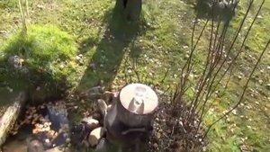 Электронные приборы для поиска мест под родники и др. изобретения Почеевского Владимира Николаевича