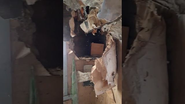 Заброшенный дом в деревне Вологодской области. Календарь от 1990 года. #деревня #вологодскаяобласть