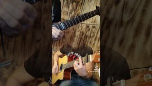 Туман Сектор Газа на 12 Струнной Гитаре