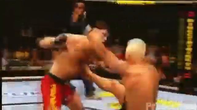 Forrest Griffin Fight