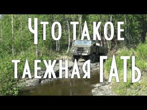 Что такое таежная гать, сюжет о старинной таежной дороге