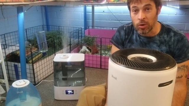 Winter Dry Air Fix - WiFi Smart Humidifier - Levoit 300S смотреть онлайн