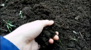 Минитрактор Уралец 220 фрезерование фрезой 1GQN -125