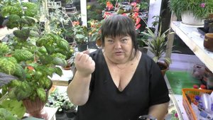 курс по колеусам от А до Я от Адель. часть 2