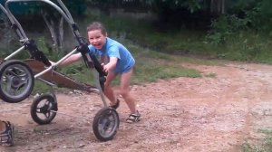 Новая жизнь старой коляски