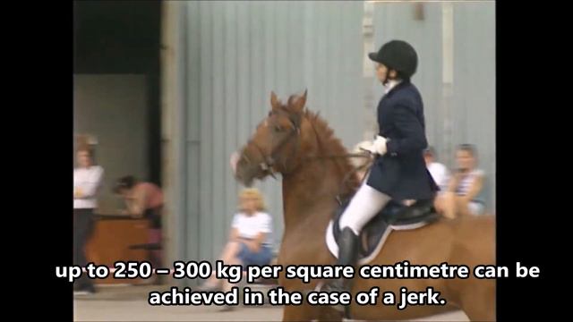 Forensic medical examination about BITS (ENG subtitles, RUS voice) смотреть онлайн