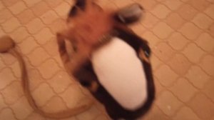 Ремонт своими руками некоторых китайских игрушек, в помощь родителям