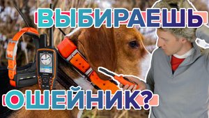 Что нужно знать начинающему охотнику, при покупке собачьего ошейника Garmin