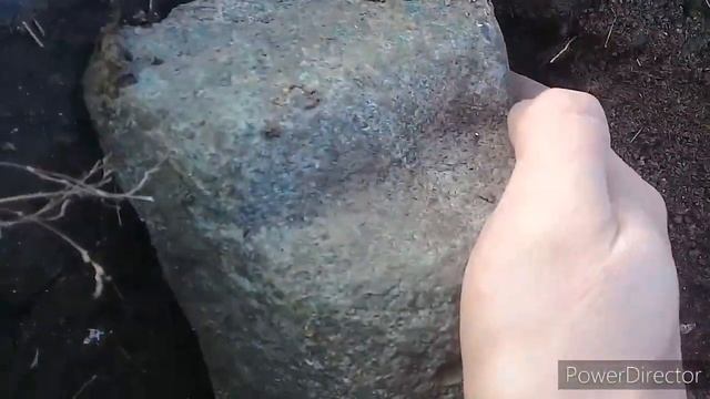 Бронзовая чушка!