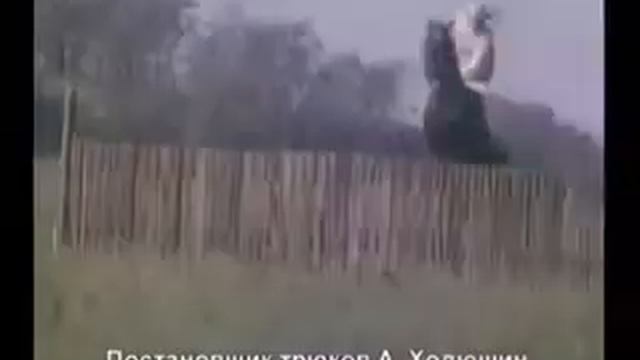 Конные трюки в фильме "ФАВОРИТ" смотреть онлайн