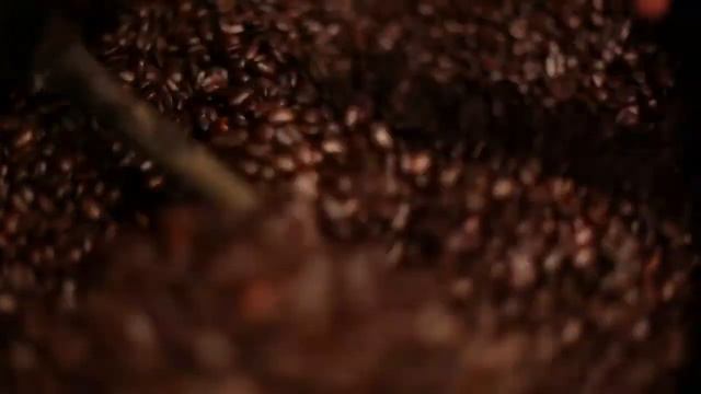 the benefits with zinzino coffee english HD смотреть онлайн