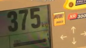 Электронные ДАТЧИКИ-ВЕСЫ для телят и КРС