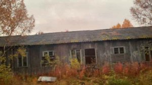 Лиинахамари / 4К