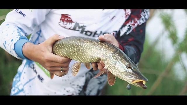 Ловля щуки и окуня летом на джиг смотреть онлайн