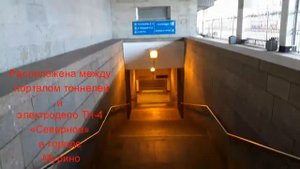 Станция метро Девяткино. Интересные факты.