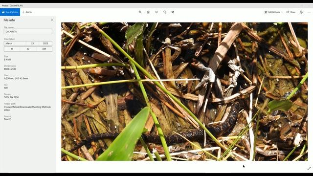 Nikon CoolPix P950 | Shooting Methods Pt 2 смотреть онлайн