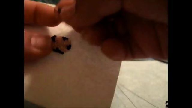 How To: Native American Beadwork, Rosette