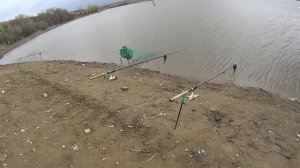 Карась.(Дневник рыболова)
