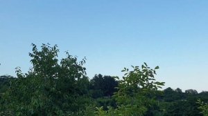 Крым. Партенит. Прогулка на лавандовое поле 17 июня 2023