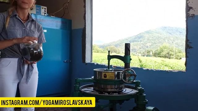 Всё о чае от экспертов. Как заваривать чай, чтобы не отравиться. смотреть онлайн