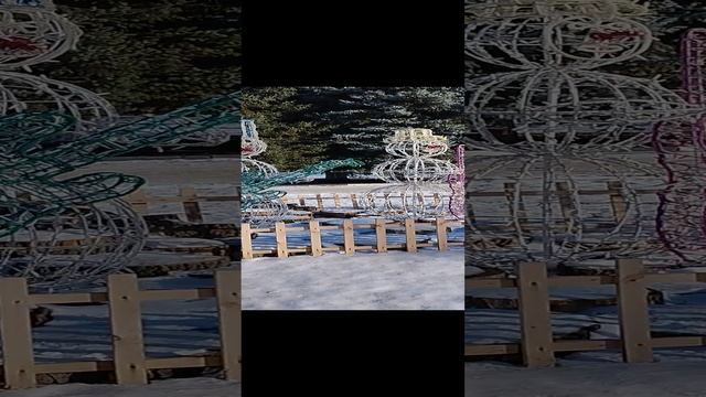 #живаяприрода #природа #зима