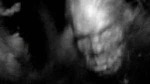 5 НЕОБЪЯСНИМЫХ СУЩЕСТВ, случайно СНЯТЫХ НА КАМЕРУ#2