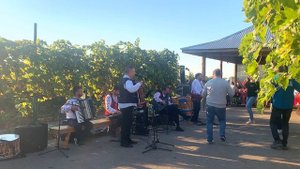 Все Что Было в Винограднике ? Песни Петра Лещенко от ПОЮЩЕГО ПОЛКОВНИКА и ЦИМЕС БЕНД 2021 !