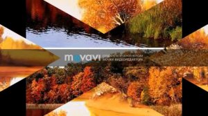 Шербургские зонтики