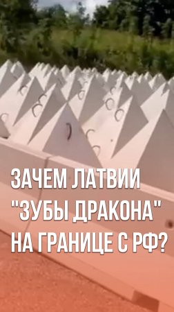 Латвия начала устанавливать «зубы дракона» на границе с Россией