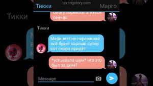 Переписка "Маринетт не та как её все видят" 2 часть