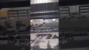 HP color LaserJet m177nw Rear Door open Error how fixed