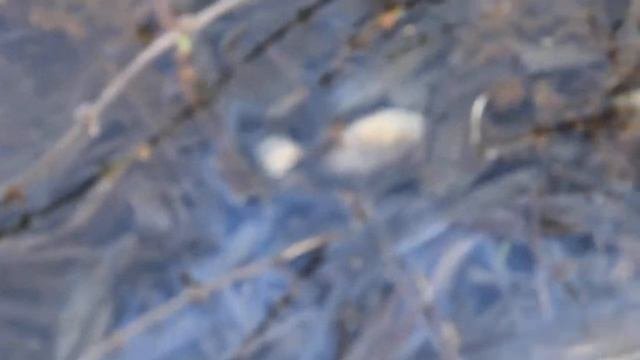 Товарковское водохранилище