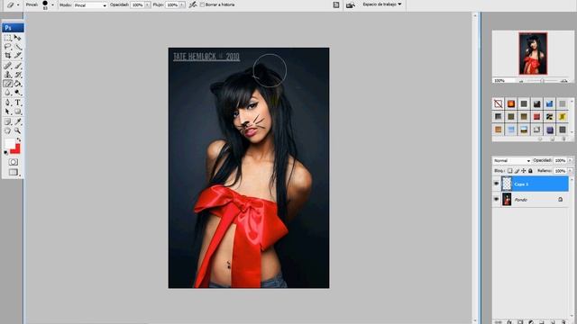 Usar el photoshop cs3 (Lo basico) смотреть онлайн