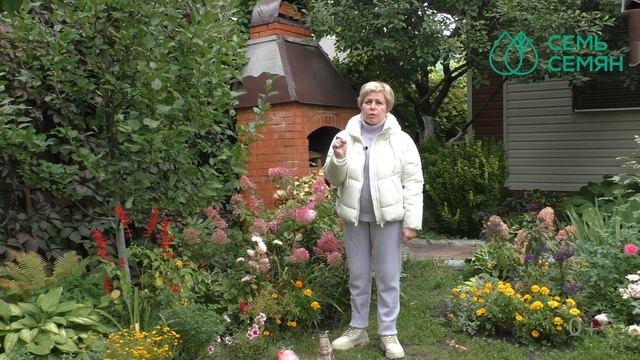 ПРАВИЛА ПОДКОРМКИ ПЛОДОВЫХ ДЕРЕВЬЕВ И КУСТАРНИКОВ