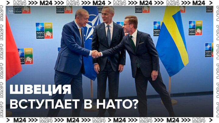 Президент Турции Эрдоган одобрил вступление Швеции в НАТО - Москва 24