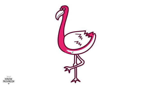 Как нарисовать ФЛАМИНГО / Раскраска ФЛАМИНГО / Краски Раскраски / How to draw an flamingos