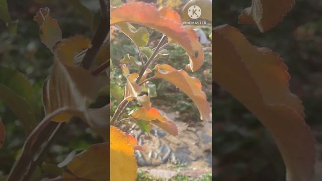 Исторически теплый ноябрь! 2023 смотреть онлайн