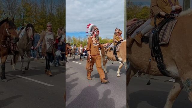 Почему в Германии так любят лошадей?