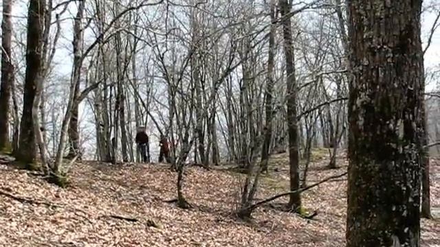 Экта 1 смотреть онлайн