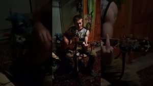 ex-сектор газа- династия на гитаре