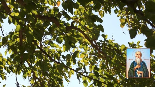 О блаженном и приснопамятном послушании. Слово 4 / «Лествица» преподобного Иоанна Лествичника смотреть онлайн