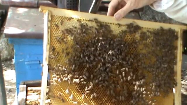 Partner-online.com смотреть онлайн