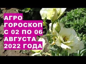 Агрогороскоп с 02 по 06 августа 2022 года