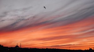 Ты Мой Бог || Pavel Pislari (Слова)