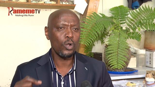 KIBARUA KIA MBUNGE YA 13 смотреть онлайн